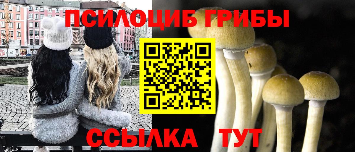 Курчатов  Галлюциногенные грибы Psilocybe  Галлюциногенные грибы мухоморы  продажа наркотиков  Вход с VPN 