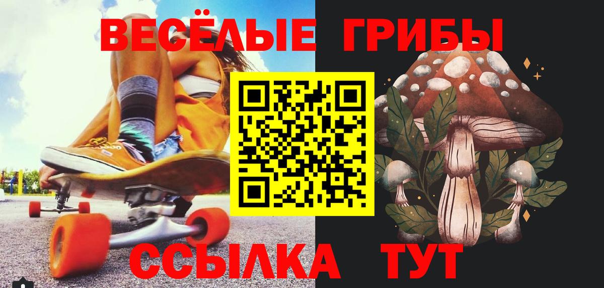 Галлюциногенные грибы мухоморы Курчатов